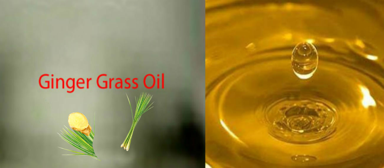 Ginger Grass Oil