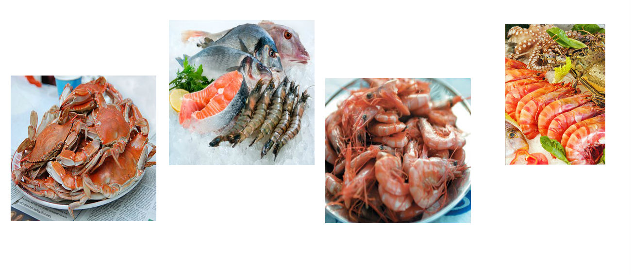 Marine Food Supplies