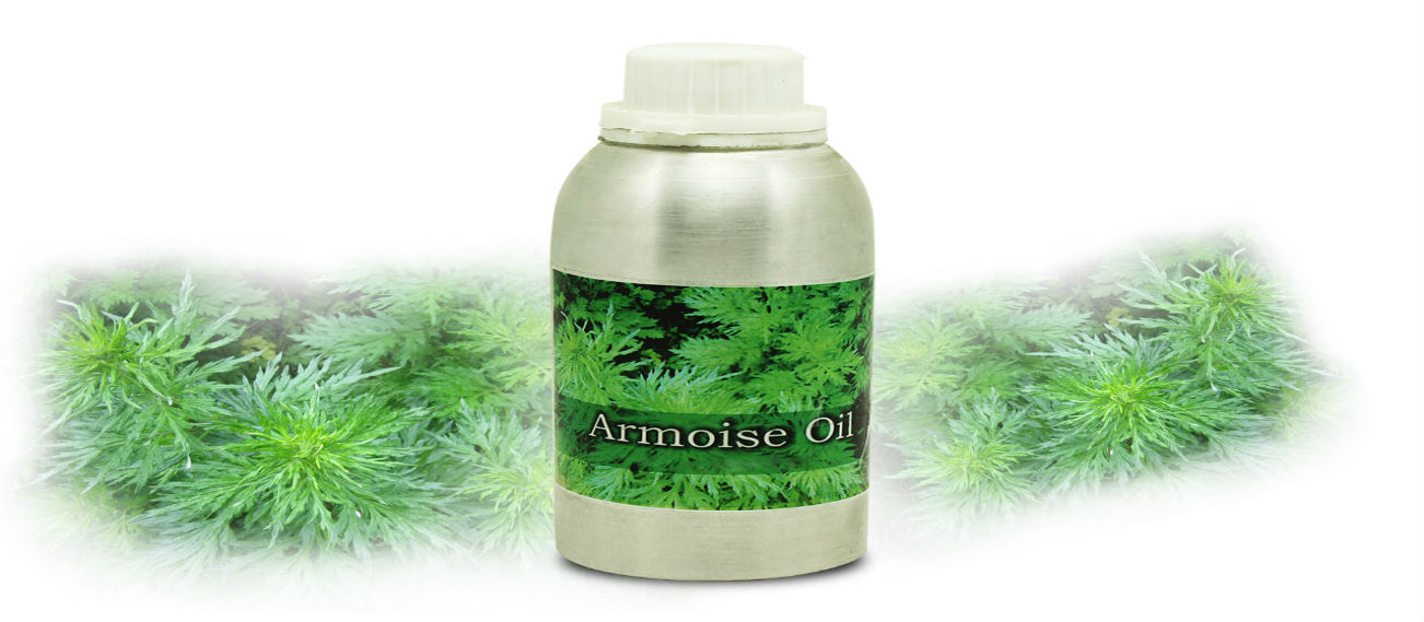 Armoise Oil