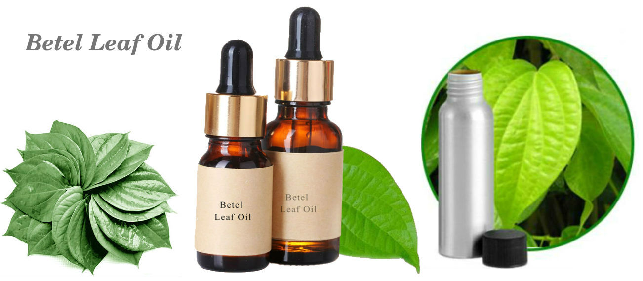 Betel Leaf Oil