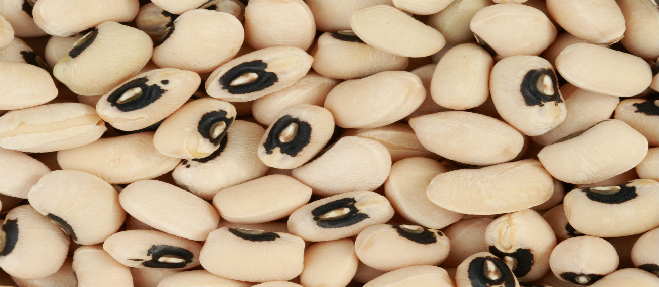 Black-Eyed Pea