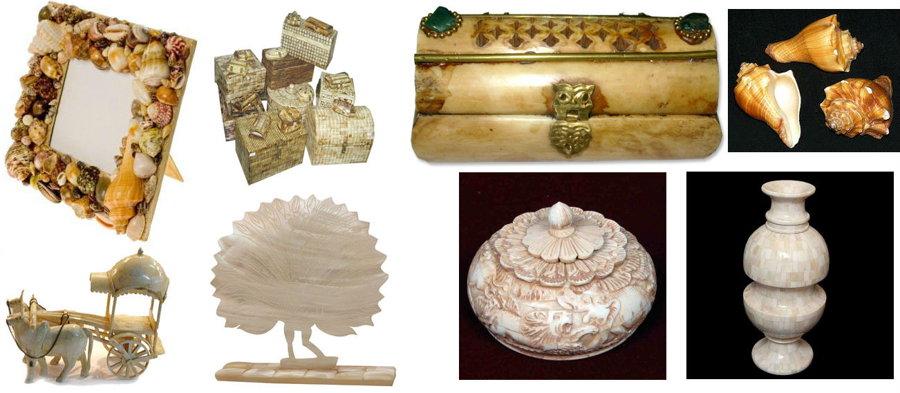 Bone and Shell Handicrafts