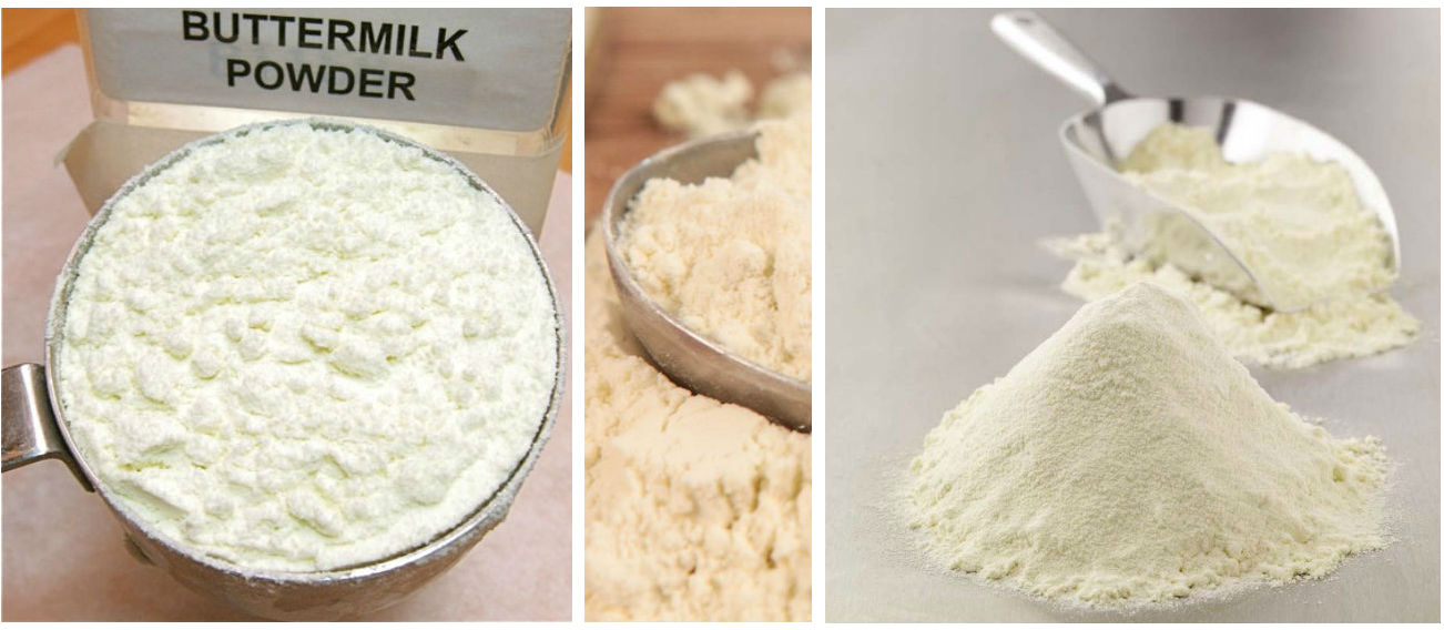 Butter Milk Powder