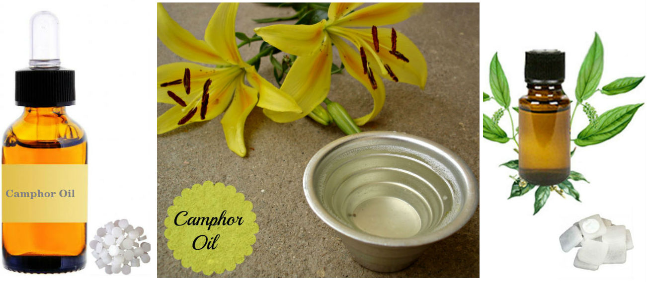 Camphor Oil