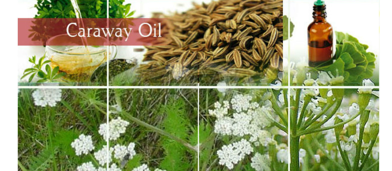 Caraway Oil