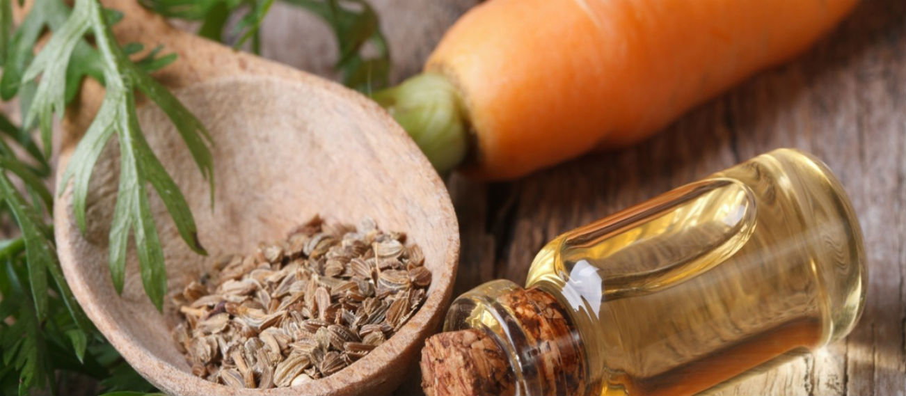 Carrot Seed Oil