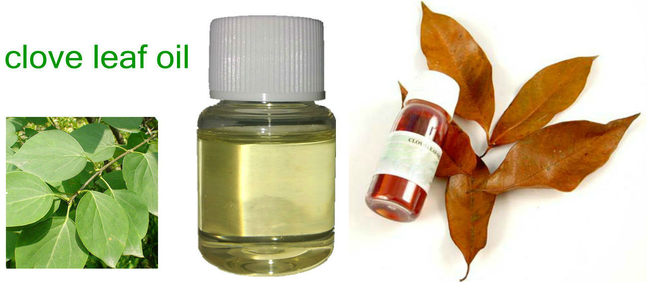 Clove Leaf Oil