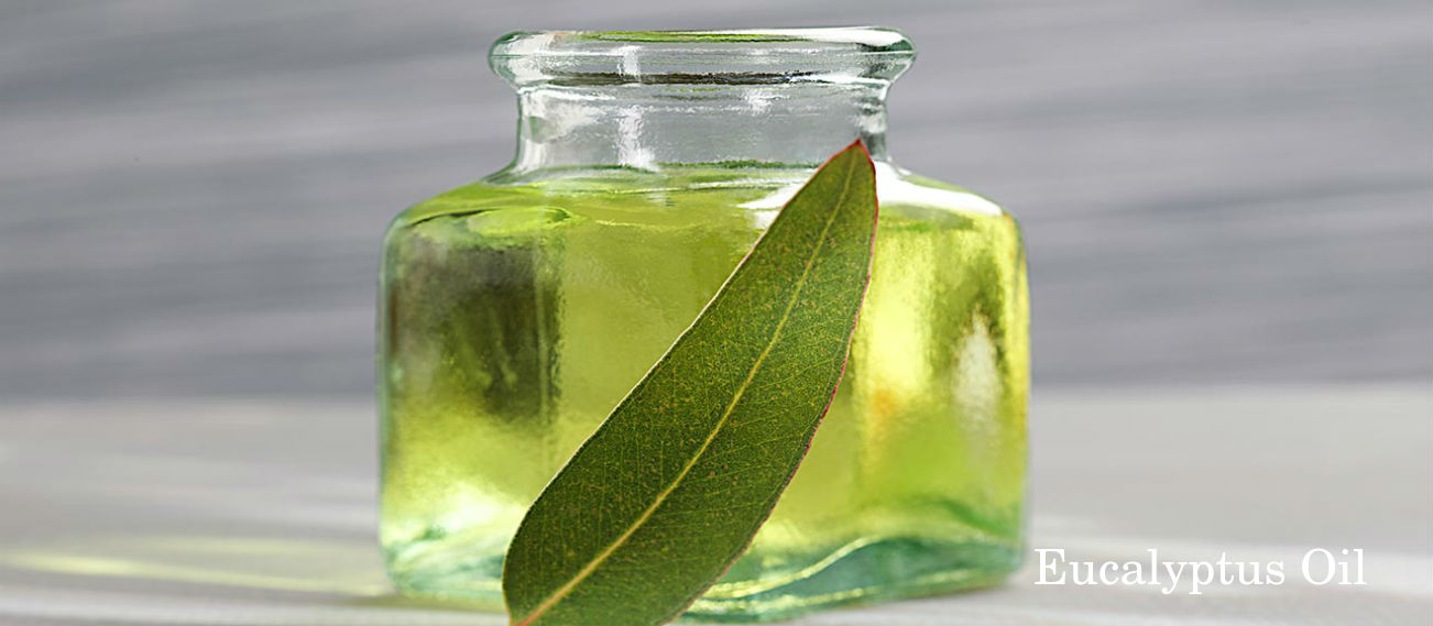 Eucalyptus Oil