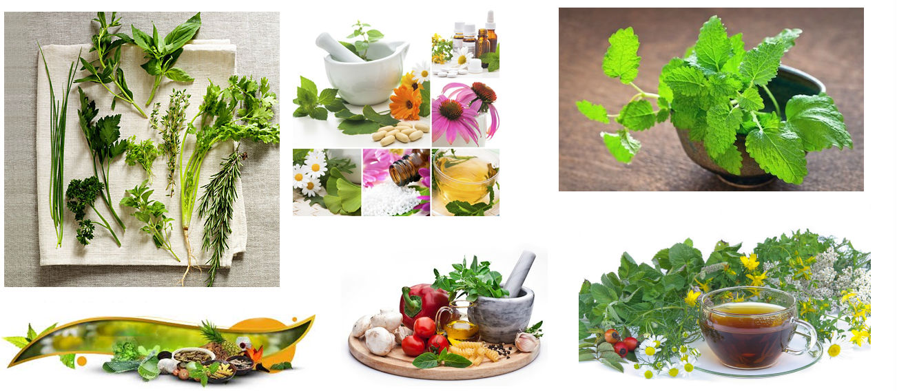 Herbal Food
