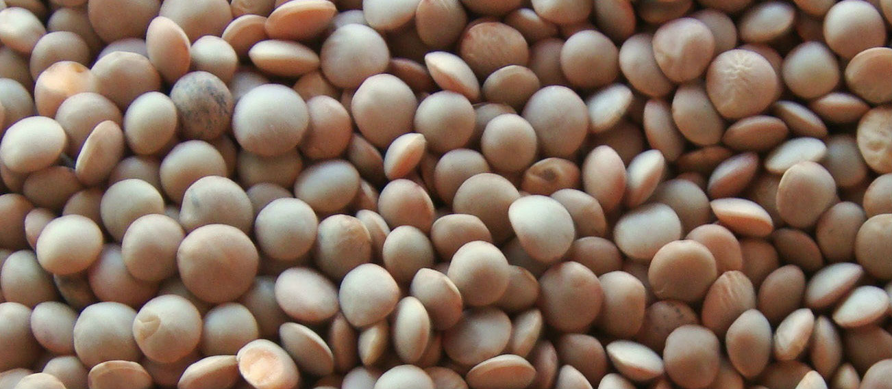 Masoor Dal Whole