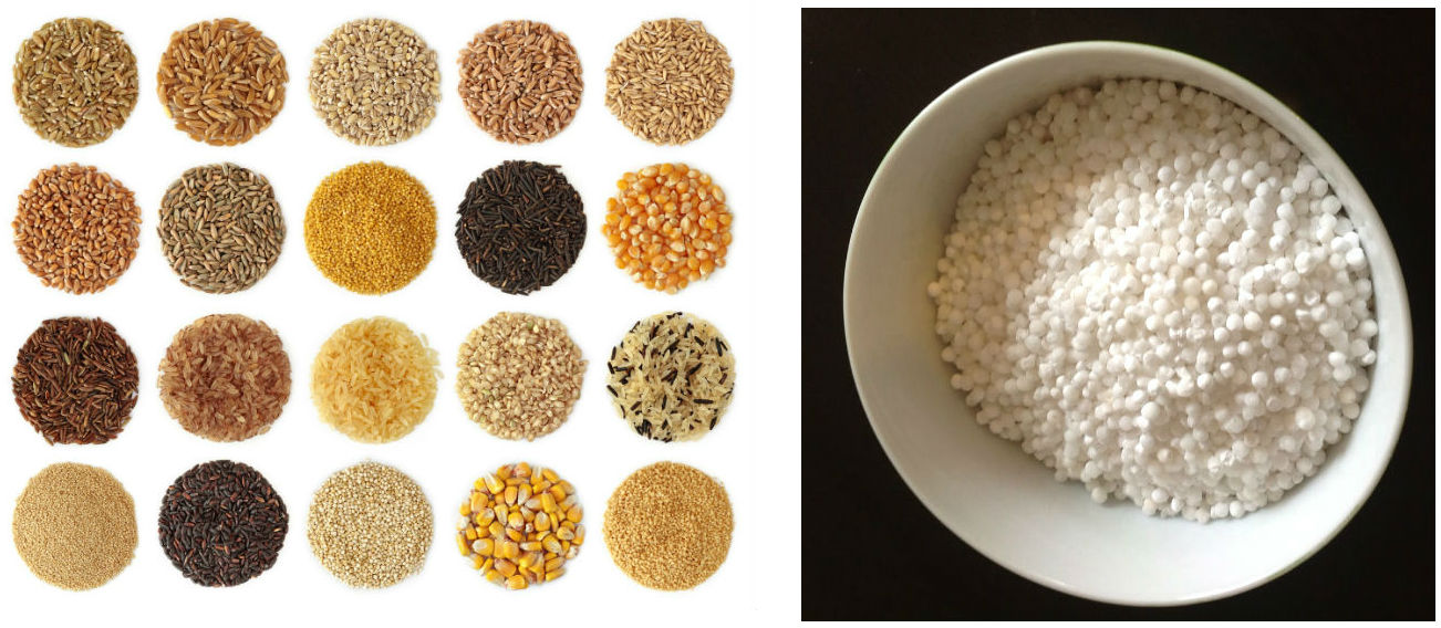 Organic Food Grains