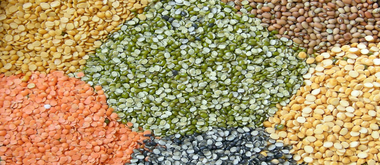 Organic Pulses