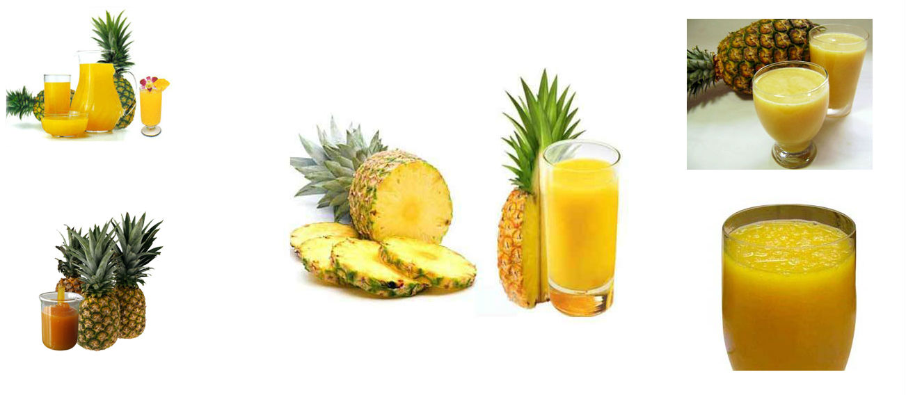 Pineapple Pulp