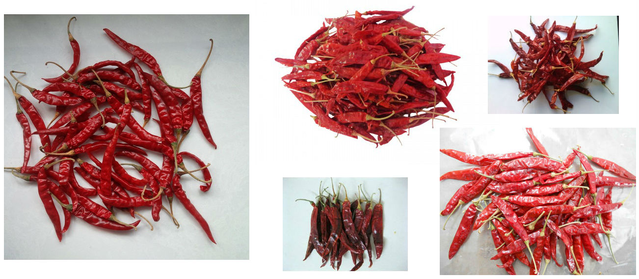 Red Chilly with Stem