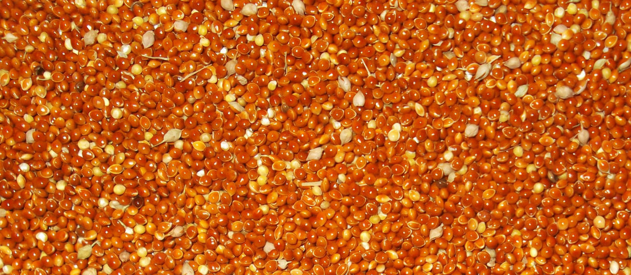 Red Millet