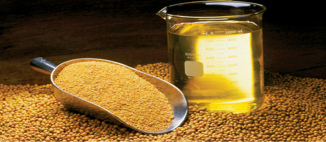 Soya Bean Oil