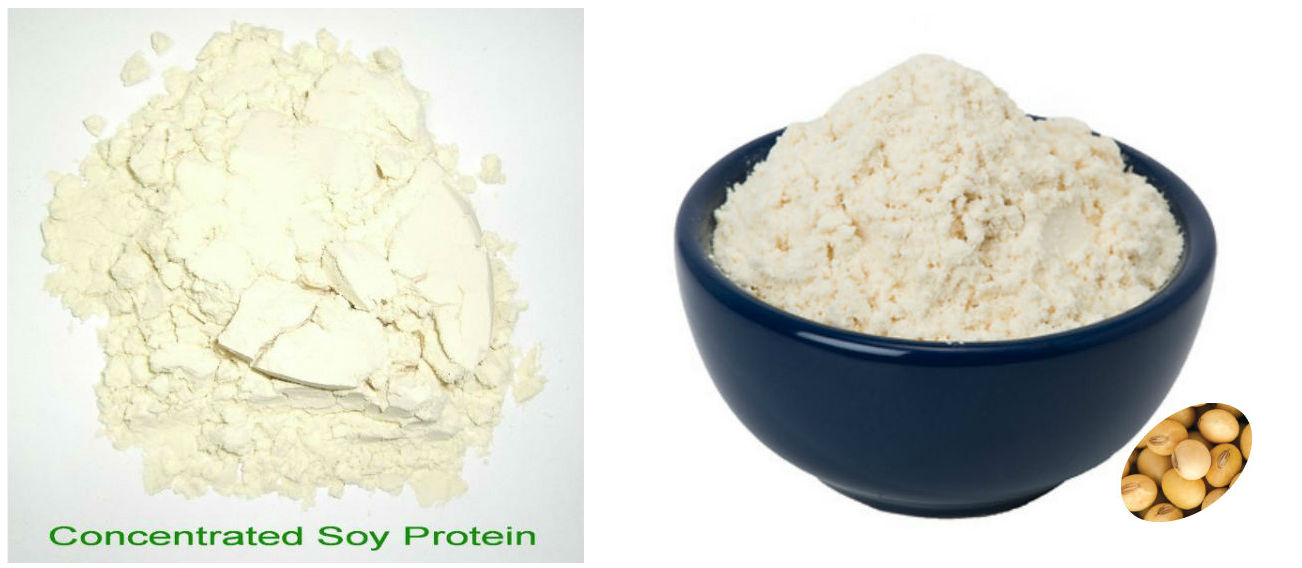 Soybean Protein Concentrate