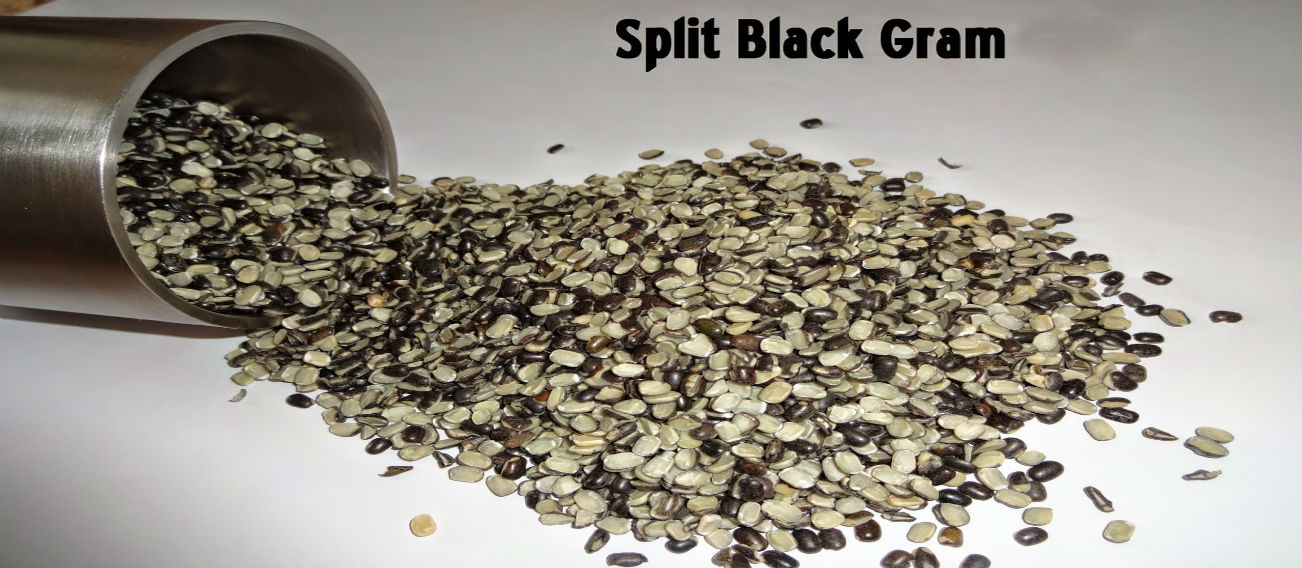 Split Black Gram