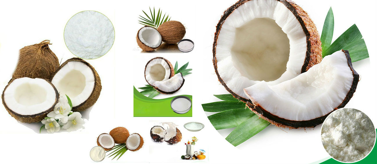 Spray Dried Coconut Powder