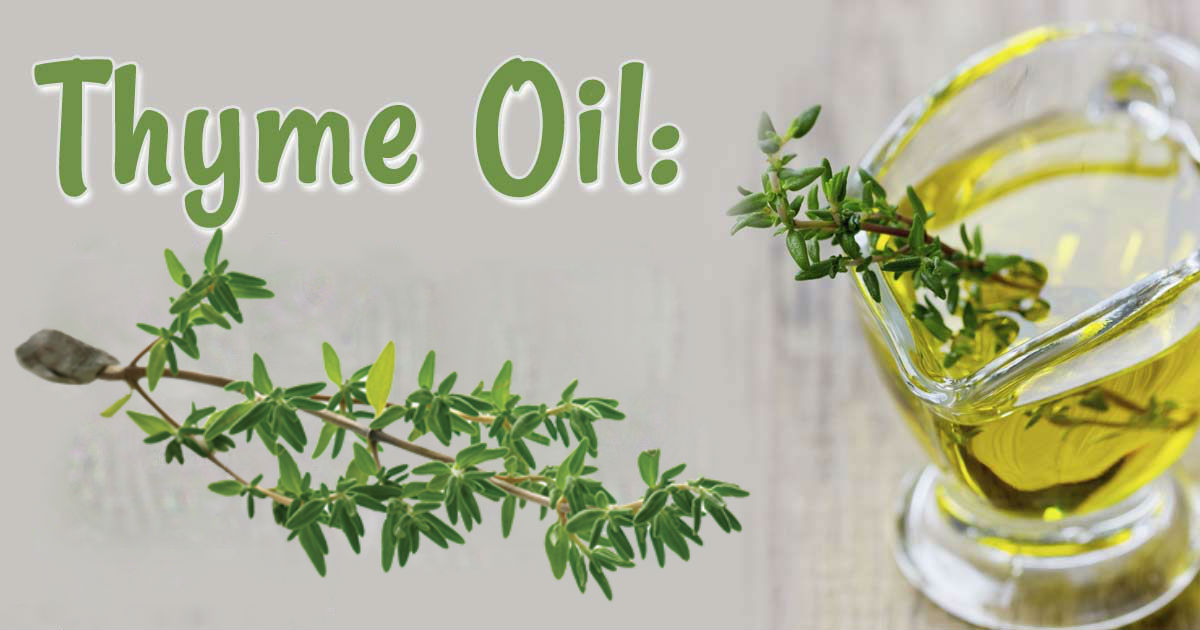 Thyme Oil