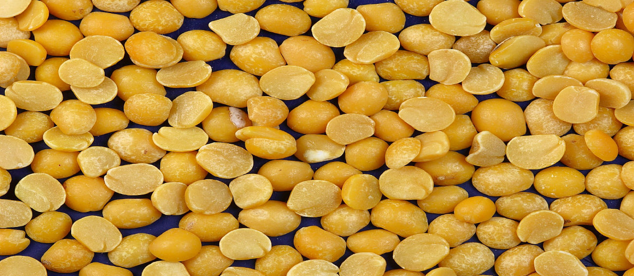 Toor Dal - Split Pigeon Peas