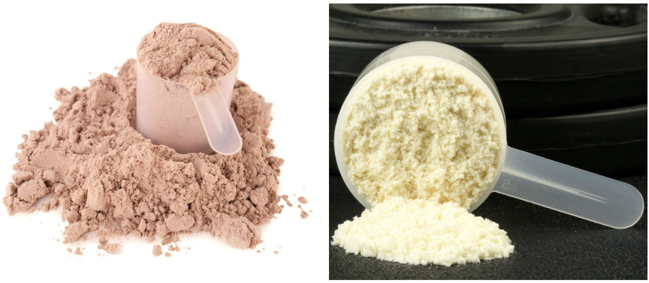 Whey Powder