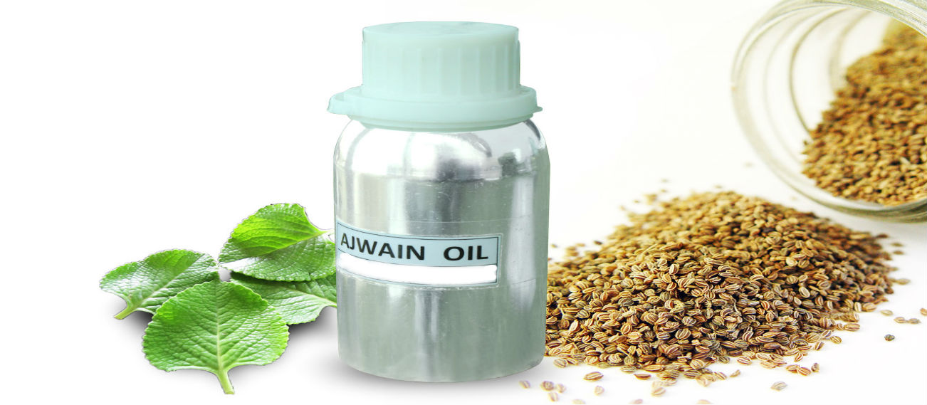 Ajwain Oil