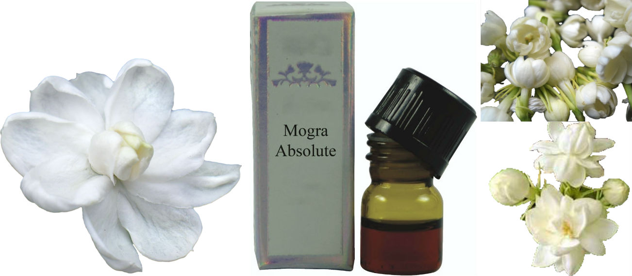 Mogra Absolute Oil