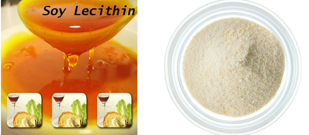 Soya Lecithin