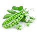 Canned Sweet Peas - No Salt Added