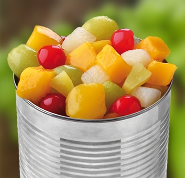 Canned Chunky Mixed Fruit in Juice